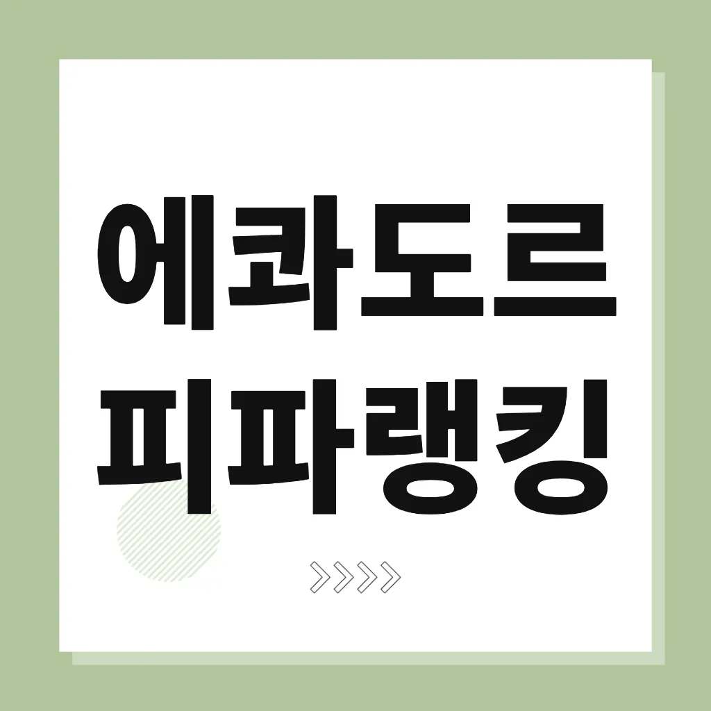 에콰도르 피파랭킹