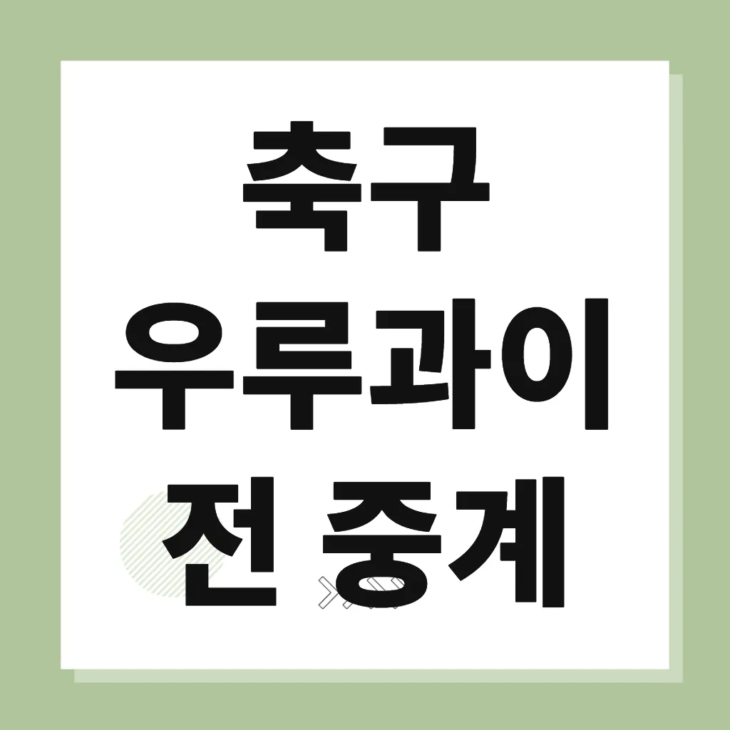 축구 우루과이전 중계
