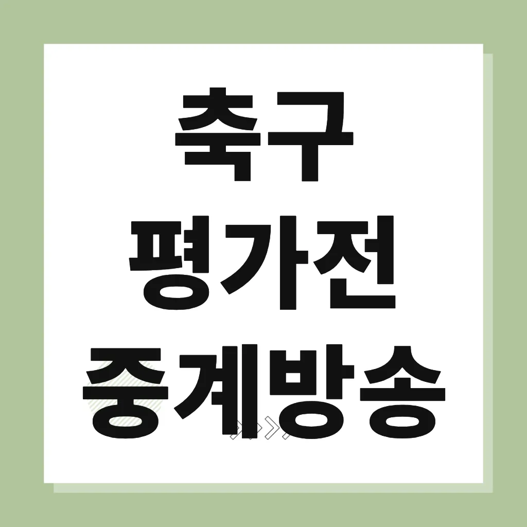 축구 평가전 중계방송