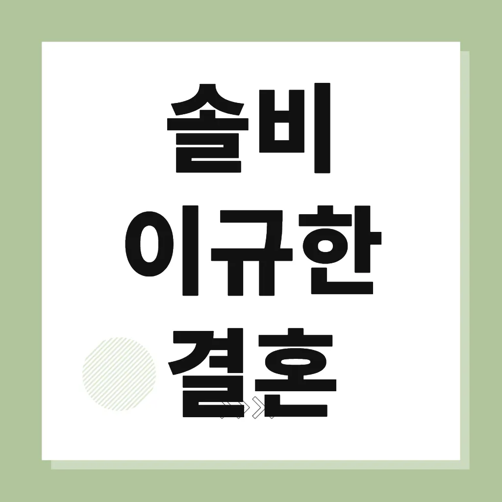 솔비 이규한 결혼