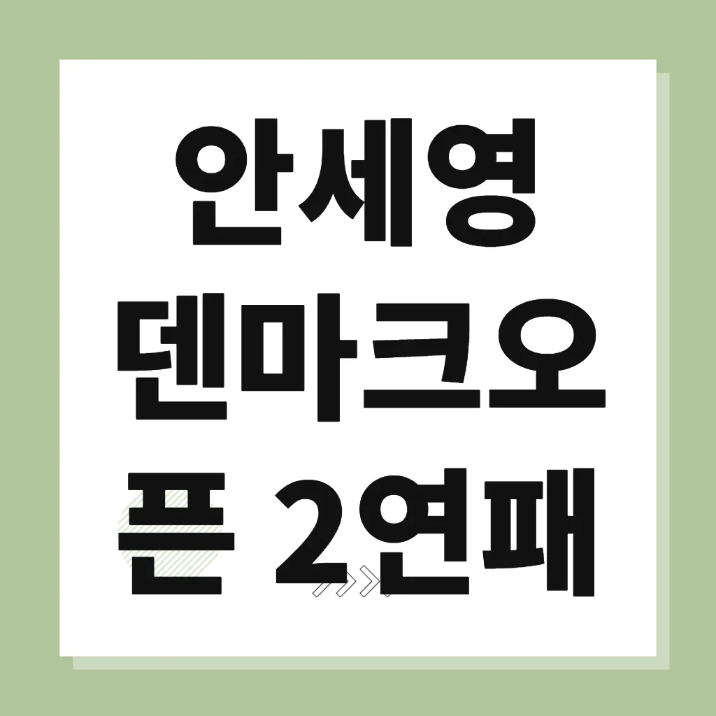 안세영 덴마크오픈 2연패