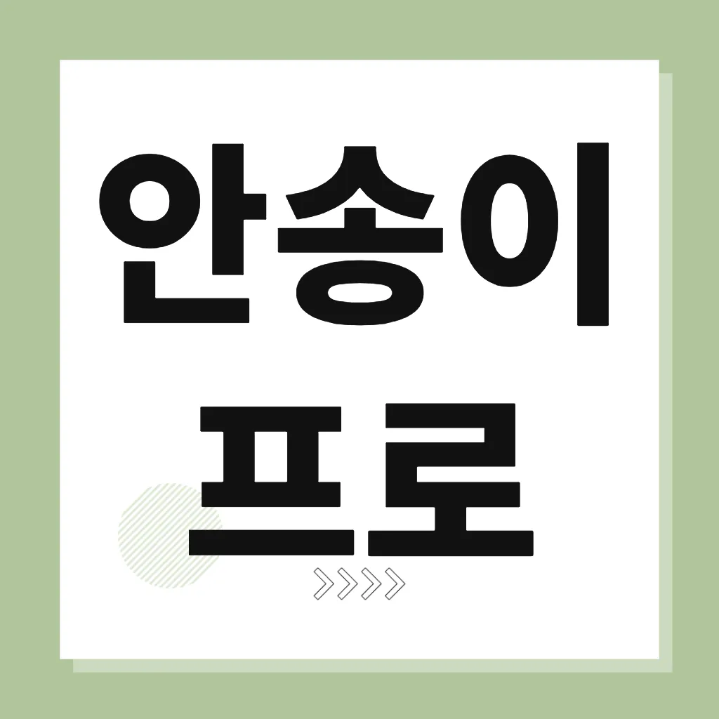 안송이 프로